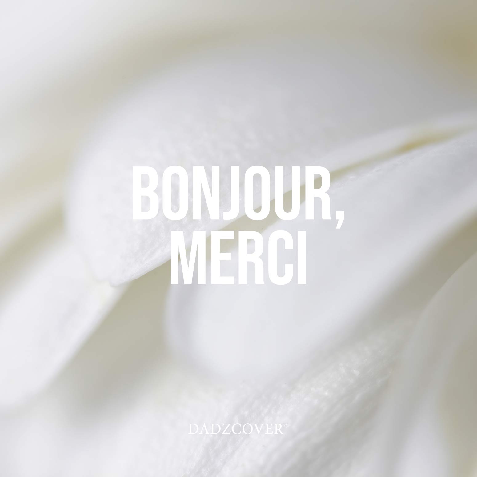 merci-visuel-dadzcover-createur-d-identite-visuelle-graphiste-monaco-graphiste-antibes-creation-de-site-web-creation-de-carte-de-visite-creation-de-logo