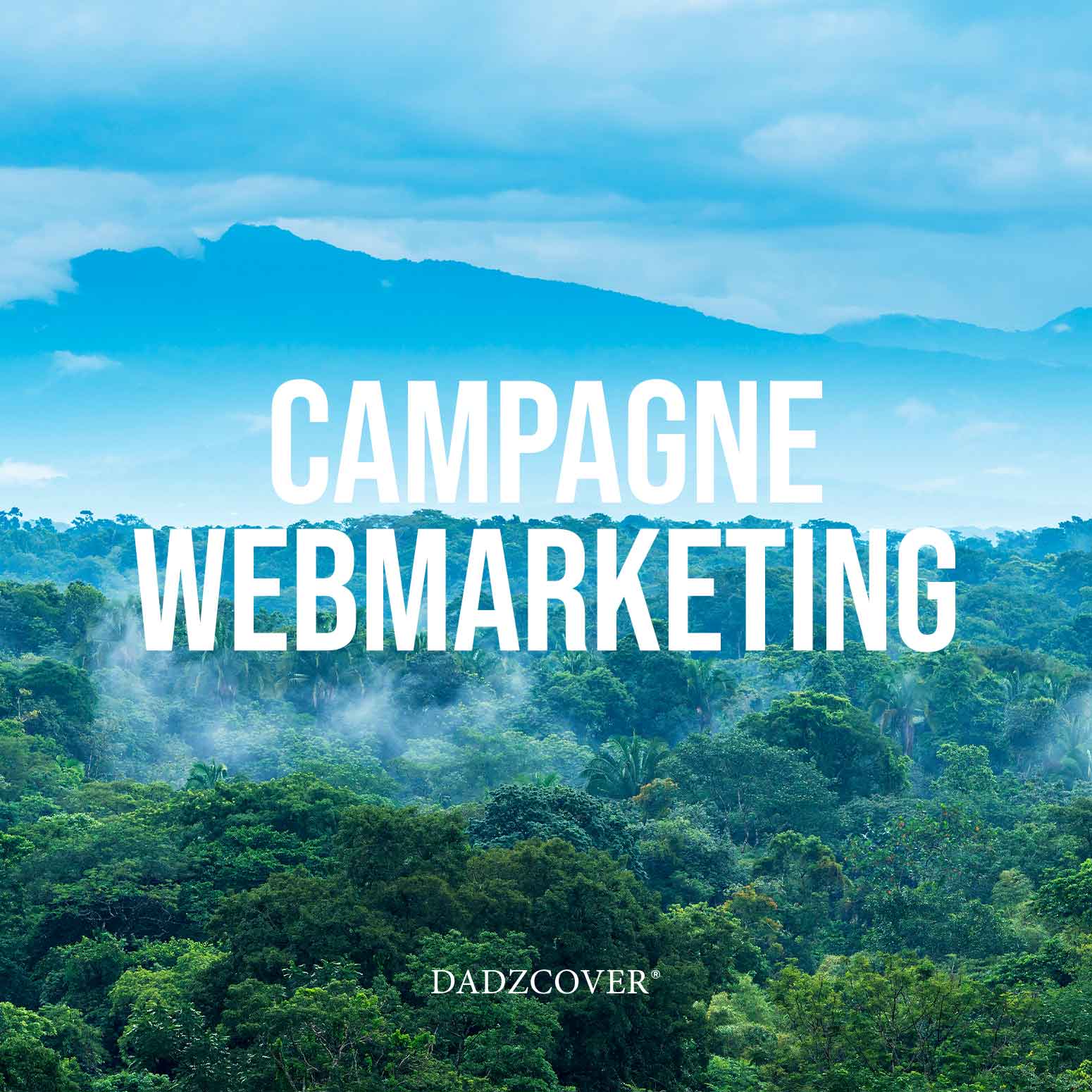 services-campagne-webmarketing-001-visuel-dadzcover-createur-d-identite-visuelle-graphiste-monaco-graphiste-antibes-creation-de-site-web-creation-de-carte-de-visite-creation-de-logo