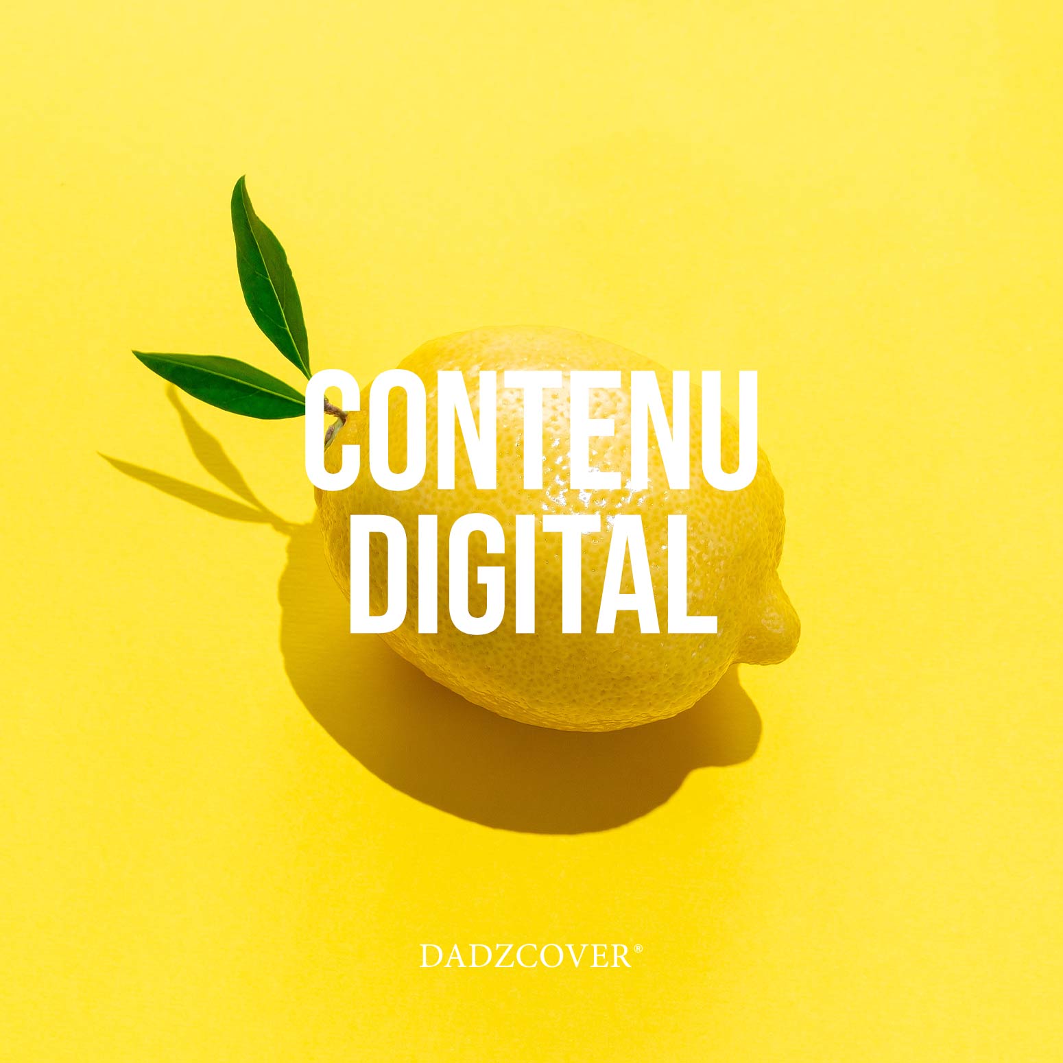 services-contenu-digital-001-visuel-dadzcover-createur-d-identite-visuelle-graphiste-monaco-graphiste-antibes-creation-de-site-web-creation-de-carte-de-visite-creation-de-logo